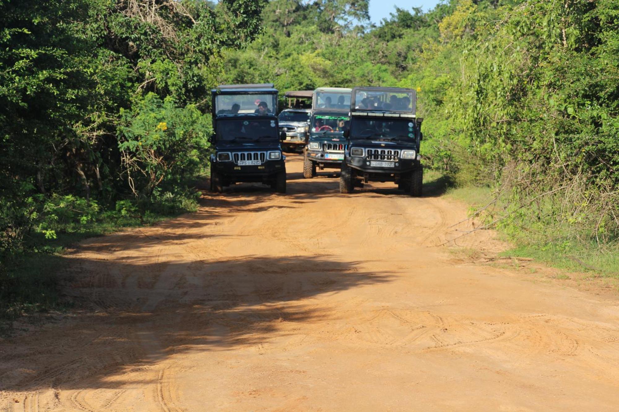 Willa Udara Guest - Yala Safari Zewnętrze zdjęcie